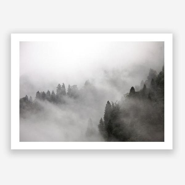 Shop Frosty Forest I Photo Art Print a photography wall art print from The Print Emporium wall artwork collection - Buy Australian made fine art poster and framed prints for the home and your interior decor room, TPE-100-AP