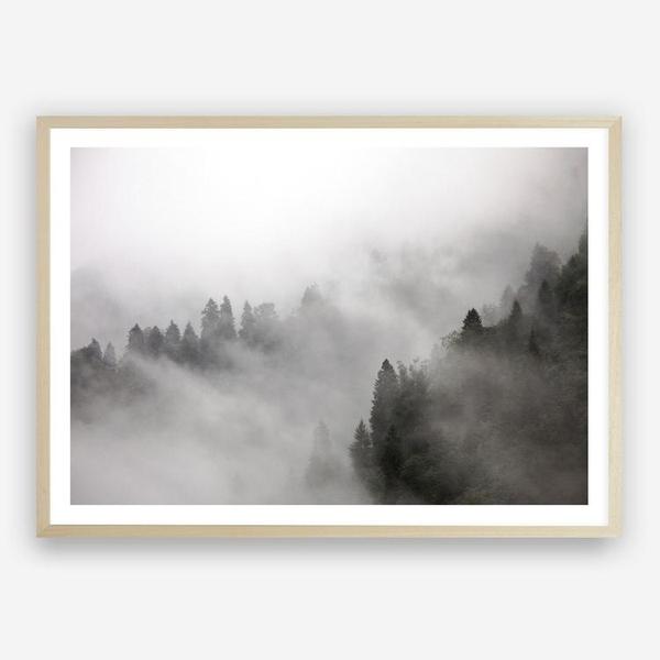Shop Frosty Forest I Photo Art Print a photography wall art print from The Print Emporium wall artwork collection - Buy Australian made fine art poster and framed prints for the home and your interior decor room, TPE-100-AP