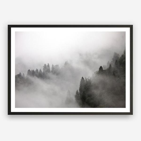 Shop Frosty Forest I Photo Art Print a photography wall art print from The Print Emporium wall artwork collection - Buy Australian made fine art poster and framed prints for the home and your interior decor room, TPE-100-AP
