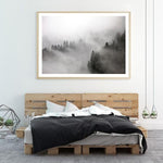 Shop Frosty Forest I Photo Art Print a photography wall art print from The Print Emporium wall artwork collection - Buy Australian made fine art poster and framed prints for the home and your interior decor room, TPE-100-AP