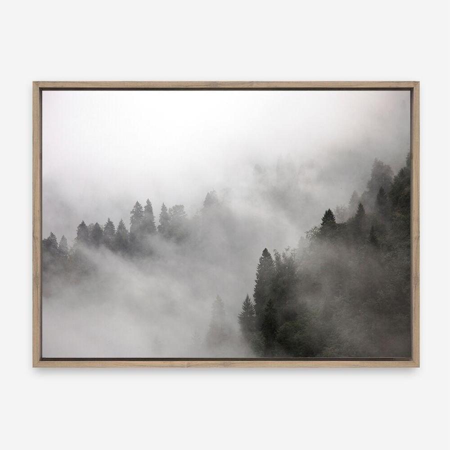 Shop Frosty Forest I Photo Canvas Print a photography framed stretched canvas print from The Print Emporium wall artwork collection - Buy Australian made prints for the home and your interior decor space, TPE-100-CA-35X46-NF