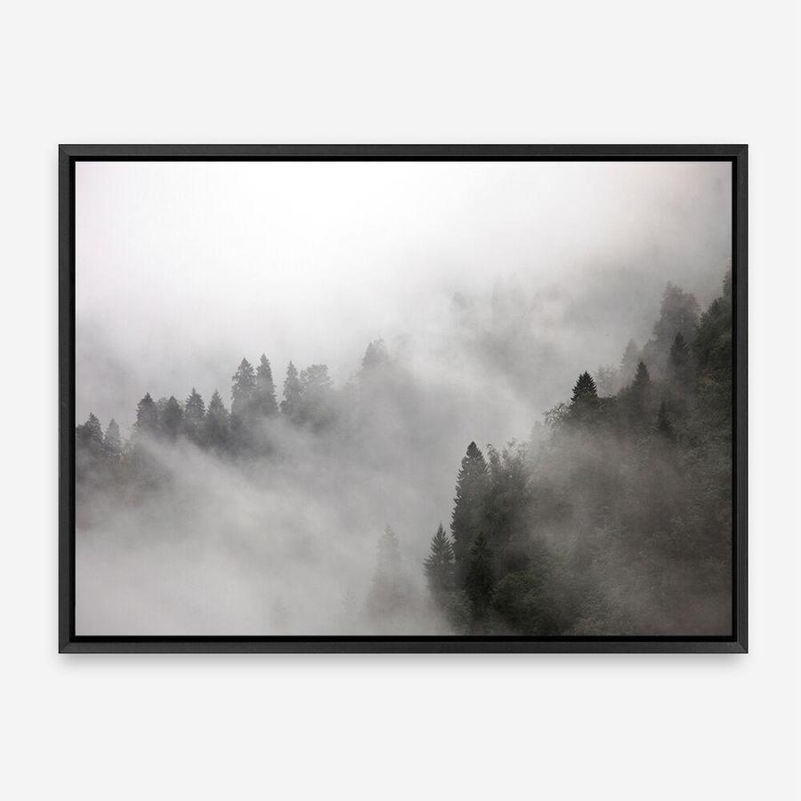 Shop Frosty Forest I Photo Canvas Print a photography framed stretched canvas print from The Print Emporium wall artwork collection - Buy Australian made prints for the home and your interior decor space, TPE-100-CA-35X46-NF