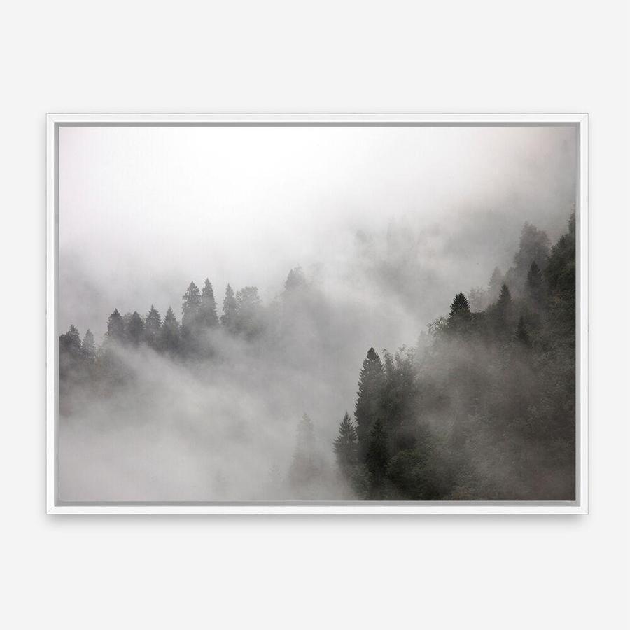 Shop Frosty Forest I Photo Canvas Print a photography framed stretched canvas print from The Print Emporium wall artwork collection - Buy Australian made prints for the home and your interior decor space, TPE-100-CA-35X46-NF