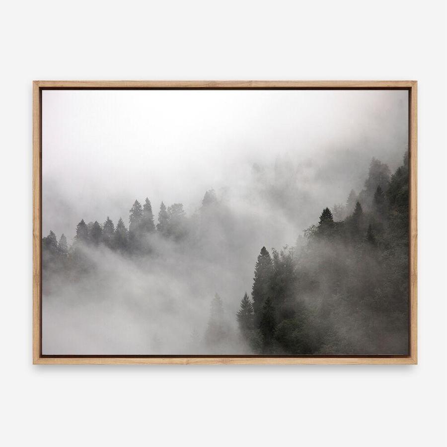 Shop Frosty Forest I Photo Canvas Print a photography framed stretched canvas print from The Print Emporium wall artwork collection - Buy Australian made prints for the home and your interior decor space, TPE-100-CA-35X46-NF