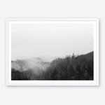 Shop Frosty Forest II Photo Art Print a photography wall art print from The Print Emporium wall artwork collection - Buy Australian made fine art poster and framed prints for the home and your interior decor room, TPE-101-AP