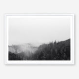 Shop Frosty Forest II Photo Art Print a photography wall art print from The Print Emporium wall artwork collection - Buy Australian made fine art poster and framed prints for the home and your interior decor room, TPE-101-AP