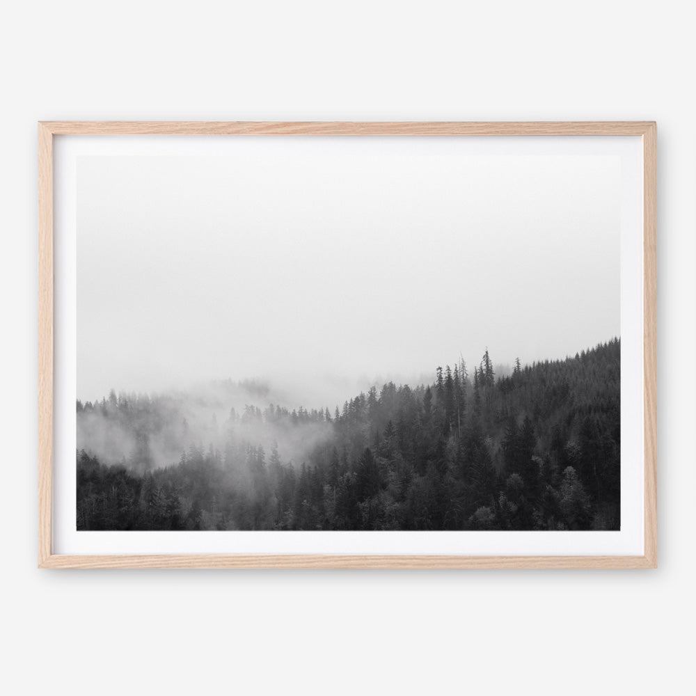 Shop Frosty Forest II Photo Art Print a photography wall art print from The Print Emporium wall artwork collection - Buy Australian made fine art poster and framed prints for the home and your interior decor room, TPE-101-AP