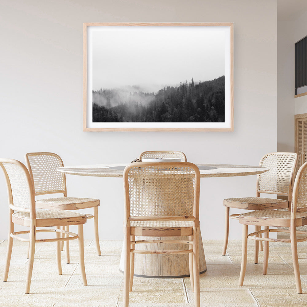 Shop Frosty Forest II Photo Art Print a photography wall art print from The Print Emporium wall artwork collection - Buy Australian made fine art poster and framed prints for the home and your interior decor room, TPE-101-AP