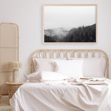 Shop Frosty Forest II Photo Art Print a photography wall art print from The Print Emporium wall artwork collection - Buy Australian made fine art poster and framed prints for the home and your interior decor room, TPE-101-AP