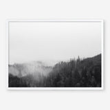 Shop Frosty Forest II Photo Art Print a photography wall art print from The Print Emporium wall artwork collection - Buy Australian made fine art poster and framed prints for the home and your interior decor room, TPE-101-AP