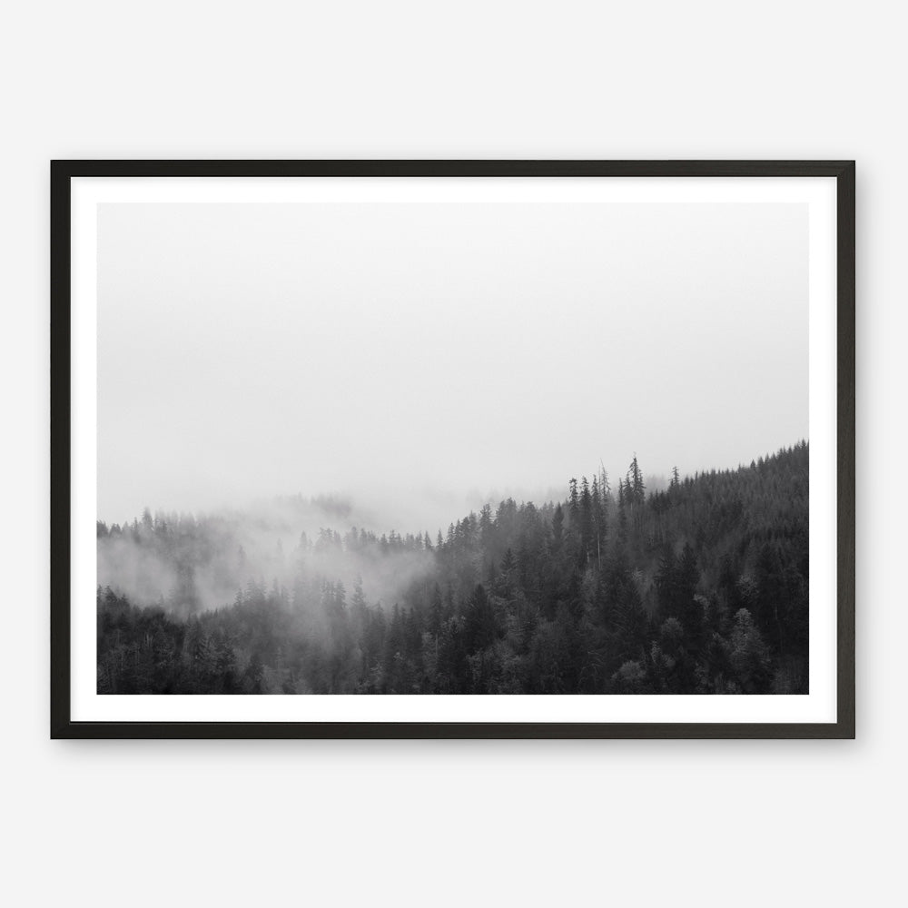 Shop Frosty Forest II Photo Art Print a photography wall art print from The Print Emporium wall artwork collection - Buy Australian made fine art poster and framed prints for the home and your interior decor room, TPE-101-AP