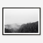 Shop Frosty Forest II Photo Art Print a photography wall art print from The Print Emporium wall artwork collection - Buy Australian made fine art poster and framed prints for the home and your interior decor room, TPE-101-AP