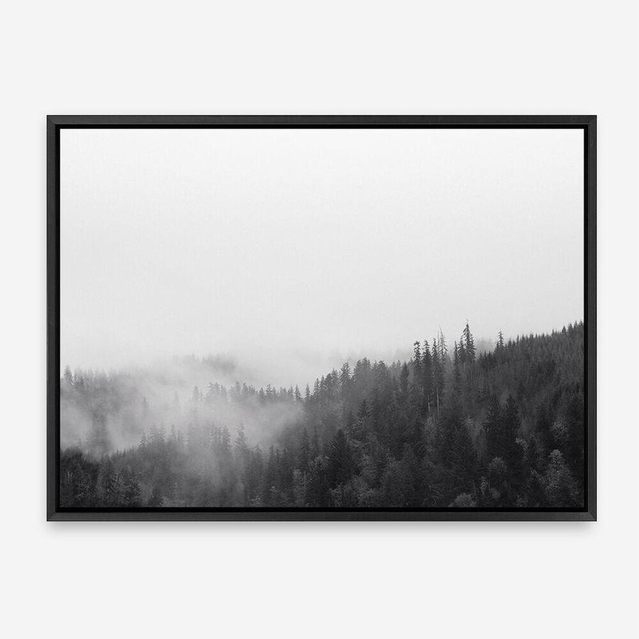 Shop Frosty Forest II Photo Canvas Print a photography framed stretched canvas print from The Print Emporium wall artwork collection - Buy Australian made prints for the home and your interior decor space, TPE-101-CA-35X46-NF
