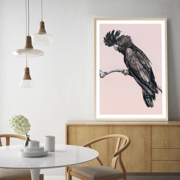 Shop George The Black Cockatoo (Pink) Art Print a painted bird themed wall art print from The Print Emporium wall artwork collection - Buy Australian made fine art painting style poster and framed prints for the home and your interior decor room, TPE-224-AP