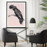 Shop George The Black Cockatoo (Pink) Art Print a painted bird themed wall art print from The Print Emporium wall artwork collection - Buy Australian made fine art painting style poster and framed prints for the home and your interior decor room, TPE-224-AP