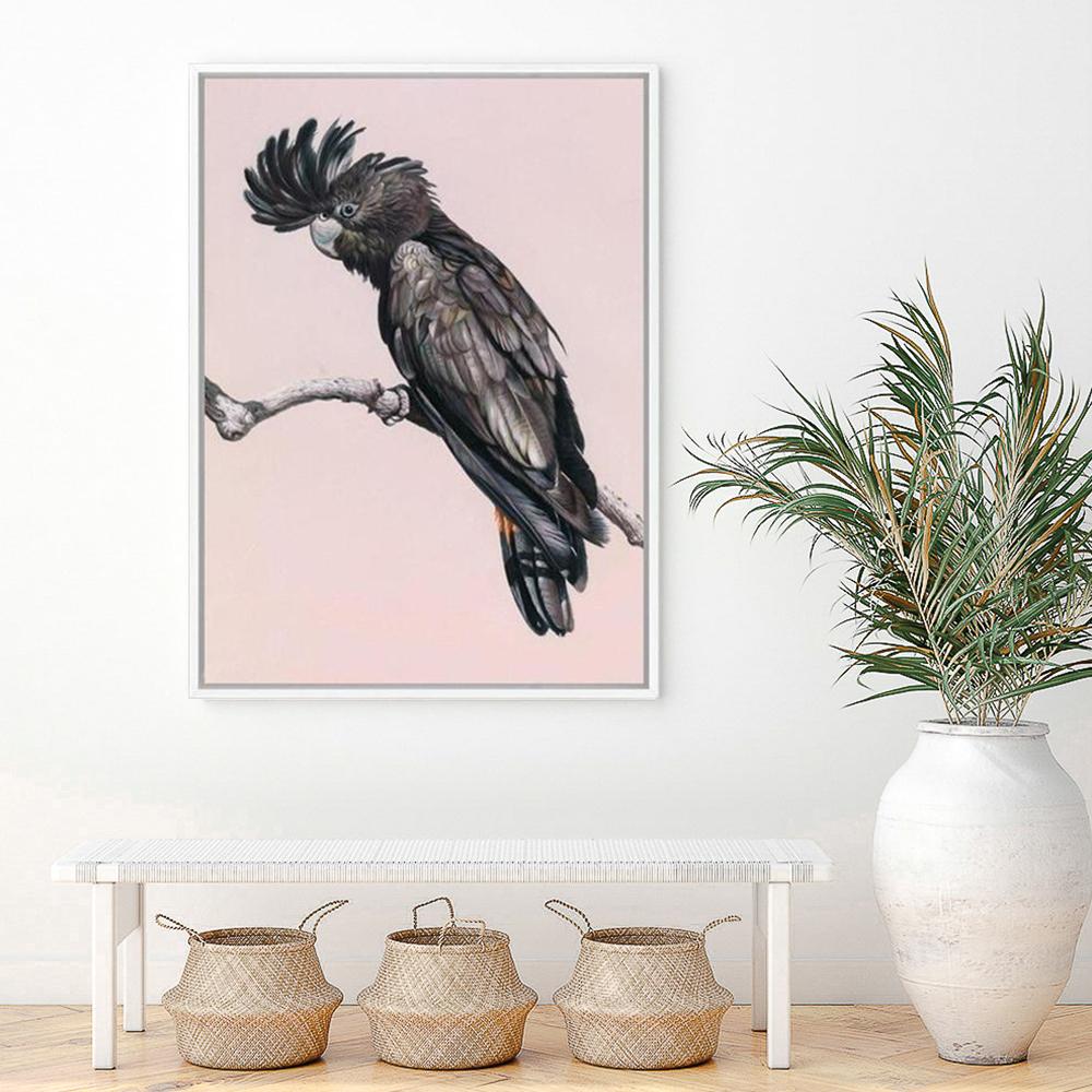 Shop George The Black Cockatoo (Pink) Canvas Print a painted bird themed framed canvas wall art print from The Print Emporium artwork collection - Buy Australian made fine art painting style stretched canvas prints for the home and your interior decor space, TPE-224-CA-35X46-NF