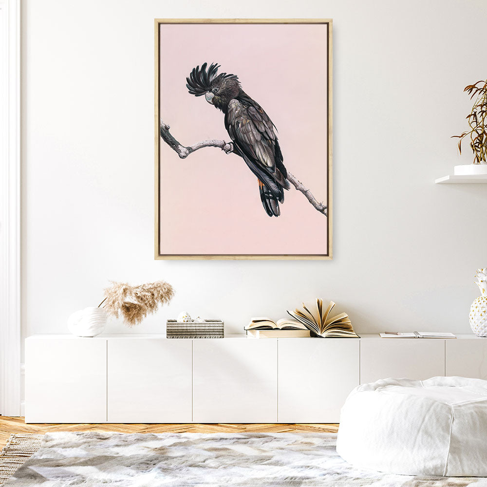 Shop George The Black Cockatoo (Pink) Canvas Print a painted bird themed framed canvas wall art print from The Print Emporium artwork collection - Buy Australian made fine art painting style stretched canvas prints for the home and your interior decor space, TPE-224-CA-35X46-NF