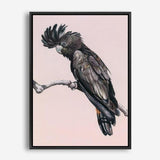 Shop George The Black Cockatoo (Pink) Canvas Print a painted bird themed framed canvas wall art print from The Print Emporium artwork collection - Buy Australian made fine art painting style stretched canvas prints for the home and your interior decor space, TPE-224-CA-35X46-NF