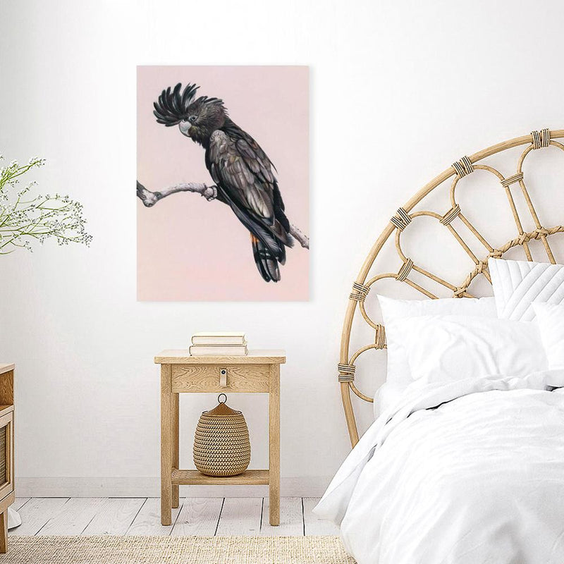 Shop George The Black Cockatoo (Pink) Canvas Print a painted bird themed framed canvas wall art print from The Print Emporium artwork collection - Buy Australian made fine art painting style stretched canvas prints for the home and your interior decor space, TPE-224-CA-35X46-NF