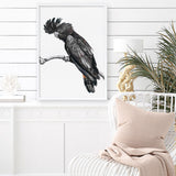 Buy George The Black Cockatoo (White) Art Print | The Print Emporium®