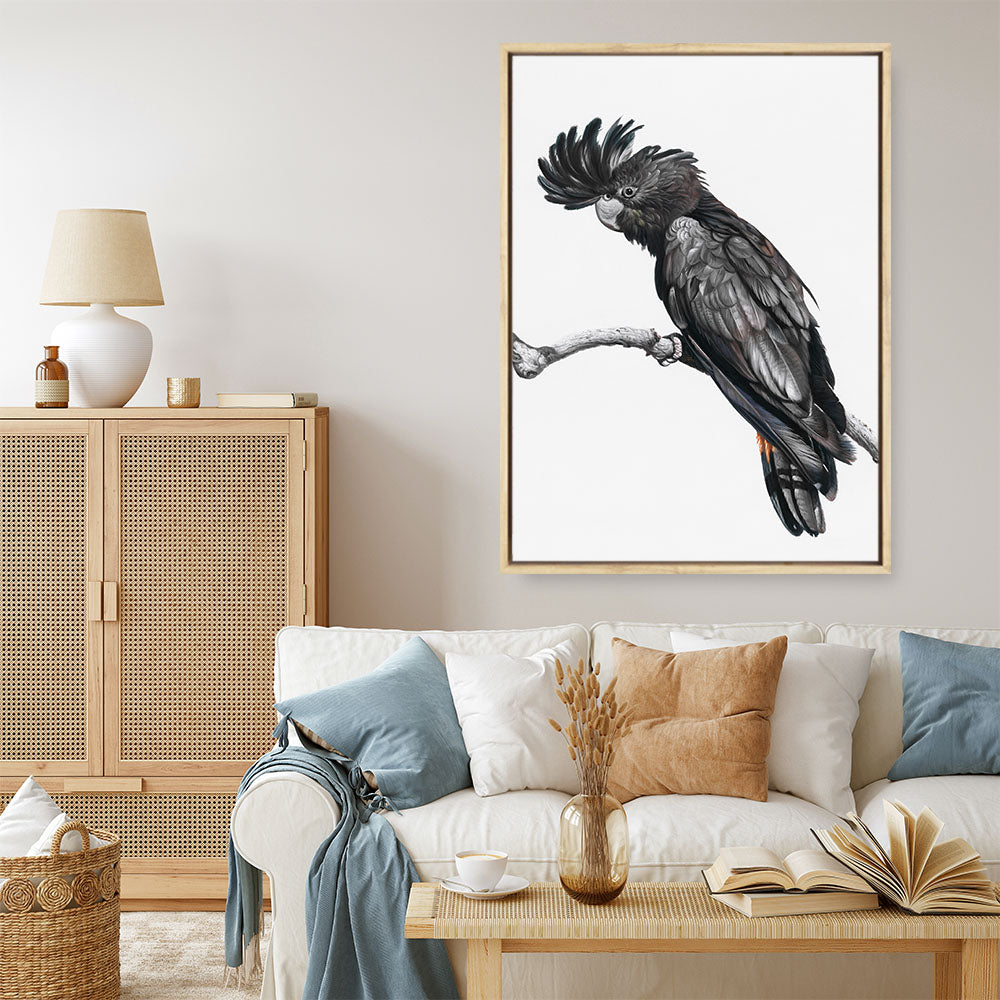 Shop George The Black Cockatoo (White) Canvas Print a painted bird themed framed canvas wall art print from The Print Emporium artwork collection - Buy Australian made fine art painting style stretched canvas prints for the home and your interior decor space, TPE-225-CA-35X46-NF