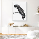 Shop George The Black Cockatoo (White) Canvas Print a painted bird themed framed canvas wall art print from The Print Emporium artwork collection - Buy Australian made fine art painting style stretched canvas prints for the home and your interior decor space, TPE-225-CA-35X46-NF