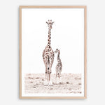 Shop Giraffes I Photo Art Print a photography wall art print from The Print Emporium wall artwork collection - Buy Australian made fine art poster and framed prints for the home and your interior decor room, TPE-709-AP