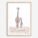 Shop Giraffes I Photo Art Print a photography wall art print from The Print Emporium wall artwork collection - Buy Australian made fine art poster and framed prints for the home and your interior decor room, TPE-709-AP