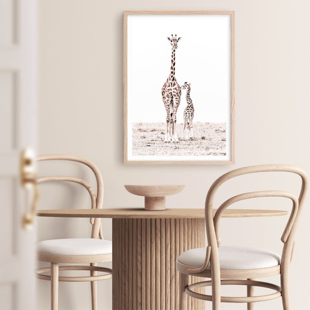 Shop Giraffes I Photo Art Print a photography wall art print from The Print Emporium wall artwork collection - Buy Australian made fine art poster and framed prints for the home and your interior decor room, TPE-709-AP