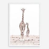 Shop Giraffes I Photo Art Print a photography wall art print from The Print Emporium wall artwork collection - Buy Australian made fine art poster and framed prints for the home and your interior decor room, TPE-709-AP