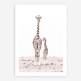 Shop Giraffes I Photo Art Print a photography wall art print from The Print Emporium wall artwork collection - Buy Australian made fine art poster and framed prints for the home and your interior decor room, TPE-709-AP