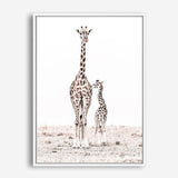 Shop Giraffes I Photo Canvas Print a photography framed stretched canvas print from The Print Emporium wall artwork collection - Buy Australian made prints for the home and your interior decor space, TPE-709-CA-35X46-NF
