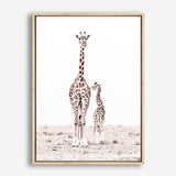 Shop Giraffes I Photo Canvas Print a photography framed stretched canvas print from The Print Emporium wall artwork collection - Buy Australian made prints for the home and your interior decor space, TPE-709-CA-35X46-NF