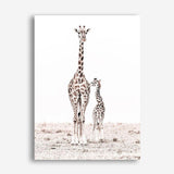 Shop Giraffes I Photo Canvas Print a photography framed stretched canvas print from The Print Emporium wall artwork collection - Buy Australian made prints for the home and your interior decor space, TPE-709-CA-35X46-NF