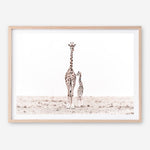 Shop Giraffes II Photo Art Print a photography wall art print from The Print Emporium wall artwork collection - Buy Australian made fine art poster and framed prints for the home and your interior decor room, TPE-710-AP