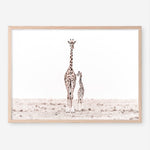 Shop Giraffes II Photo Art Print a photography wall art print from The Print Emporium wall artwork collection - Buy Australian made fine art poster and framed prints for the home and your interior decor room, TPE-710-AP