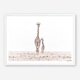 Shop Giraffes II Photo Art Print a photography wall art print from The Print Emporium wall artwork collection - Buy Australian made fine art poster and framed prints for the home and your interior decor room, TPE-710-AP