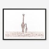 Shop Giraffes II Photo Art Print a photography wall art print from The Print Emporium wall artwork collection - Buy Australian made fine art poster and framed prints for the home and your interior decor room, TPE-710-AP