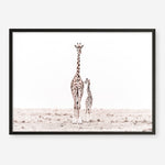Shop Giraffes II Photo Art Print a photography wall art print from The Print Emporium wall artwork collection - Buy Australian made fine art poster and framed prints for the home and your interior decor room, TPE-710-AP