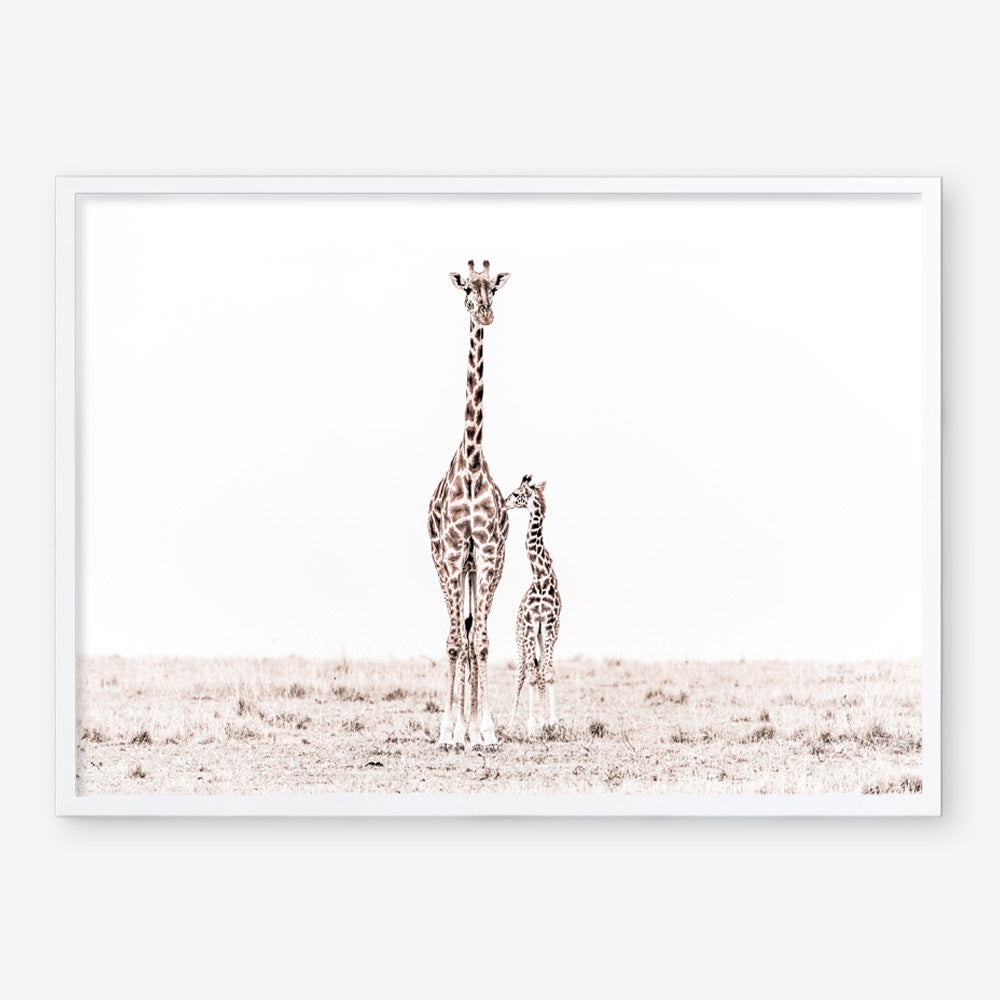Shop Giraffes II Photo Art Print a photography wall art print from The Print Emporium wall artwork collection - Buy Australian made fine art poster and framed prints for the home and your interior decor room, TPE-710-AP