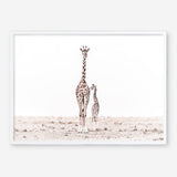 Shop Giraffes II Photo Art Print a photography wall art print from The Print Emporium wall artwork collection - Buy Australian made fine art poster and framed prints for the home and your interior decor room, TPE-710-AP