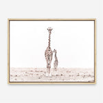Shop Giraffes II Photo Canvas Print a photography framed stretched canvas print from The Print Emporium wall artwork collection - Buy Australian made prints for the home and your interior decor space, TPE-710-CA-35X46-NF