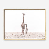 Shop Giraffes II Photo Canvas Print a photography framed stretched canvas print from The Print Emporium wall artwork collection - Buy Australian made prints for the home and your interior decor space, TPE-710-CA-35X46-NF