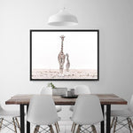 Shop Giraffes II Photo Canvas Print a photography framed stretched canvas print from The Print Emporium wall artwork collection - Buy Australian made prints for the home and your interior decor space, TPE-710-CA-35X46-NF