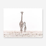 Shop Giraffes II Photo Canvas Print a photography framed stretched canvas print from The Print Emporium wall artwork collection - Buy Australian made prints for the home and your interior decor space, TPE-710-CA-35X46-NF