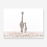 Shop Giraffes II Photo Canvas Print a photography framed stretched canvas print from The Print Emporium wall artwork collection - Buy Australian made prints for the home and your interior decor space, TPE-710-CA-35X46-NF