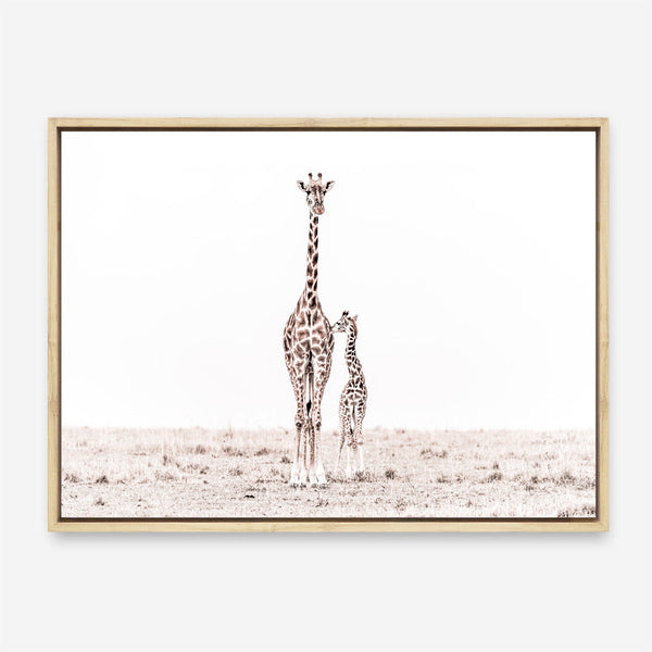 Shop Giraffes II Photo Canvas Print a photography framed stretched canvas print from The Print Emporium wall artwork collection - Buy Australian made prints for the home and your interior decor space, TPE-710-CA-35X46-NF