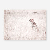 Shop Grazing Cheetah Photo Art Print a photography wall art print from The Print Emporium wall artwork collection - Buy Australian made fine art poster and framed prints for the home and your interior decor room, TPE-881-AP