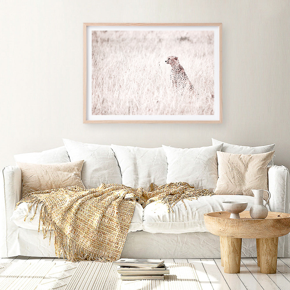 Shop Grazing Cheetah Photo Art Print a photography wall art print from The Print Emporium wall artwork collection - Buy Australian made fine art poster and framed prints for the home and your interior decor room, TPE-881-AP