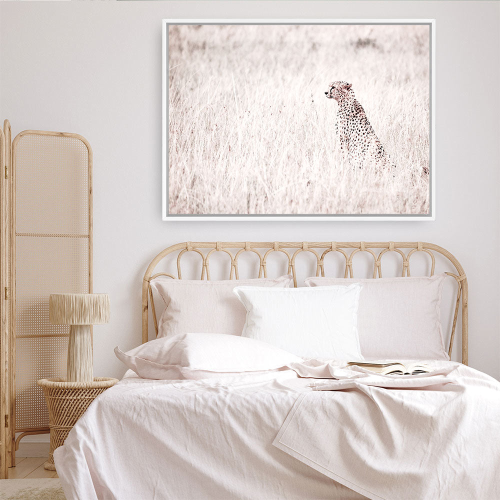 Shop Grazing Cheetah Photo Canvas Print a photography framed stretched canvas print from The Print Emporium wall artwork collection - Buy Australian made prints for the home and your interior decor space, TPE-881-CA-35X46-NF
